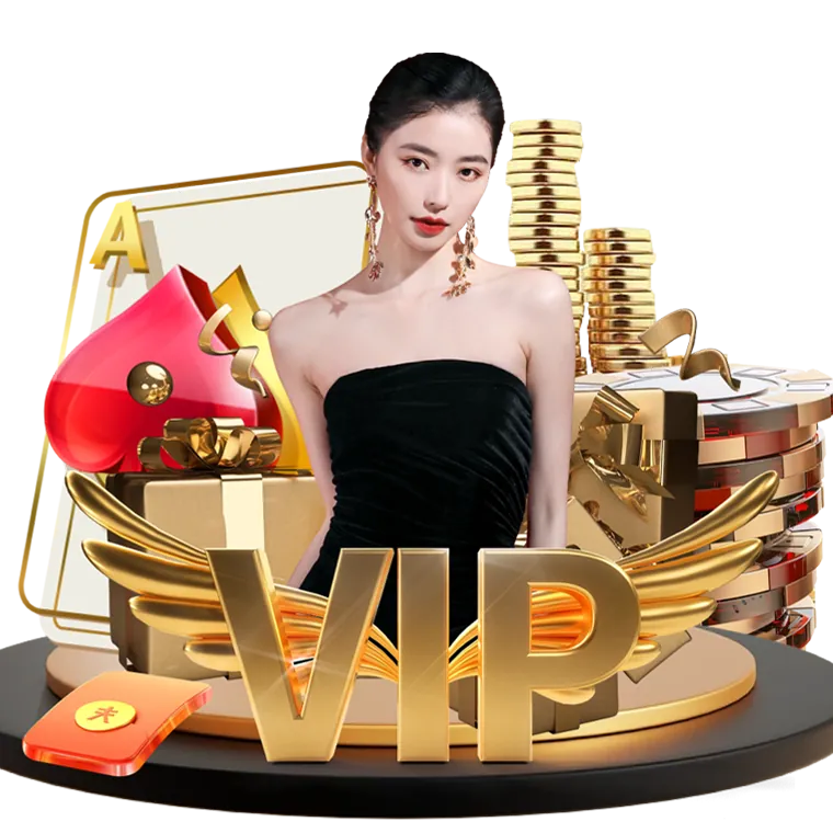 Exclusive Bonuses and VIP Program